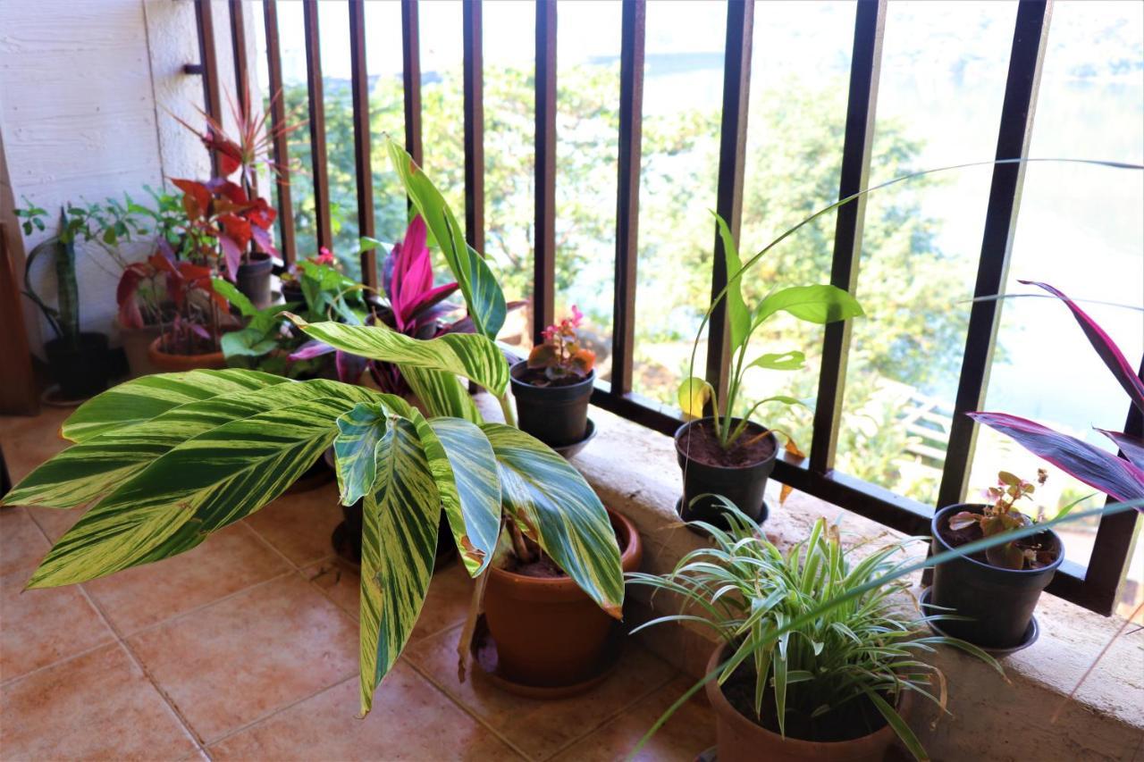Portofino Apartment Lavasa Bagian luar foto